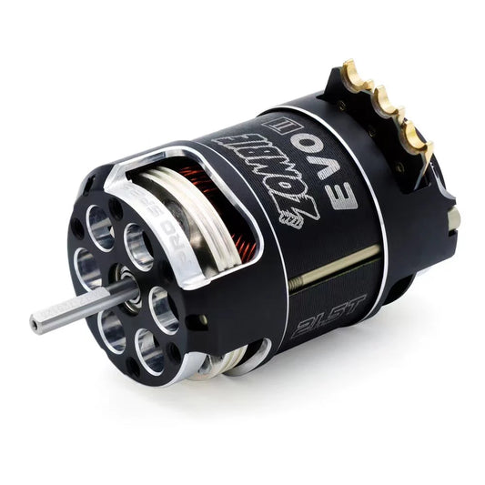 ZOMBIE EVOLUTION II PRO SPEC STOCK MOTORS